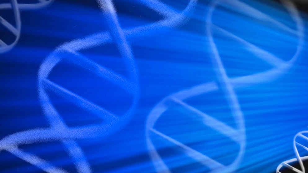 Accusés de meurtres. France: des jumeaux avec le même ADN se jouent de la justice !