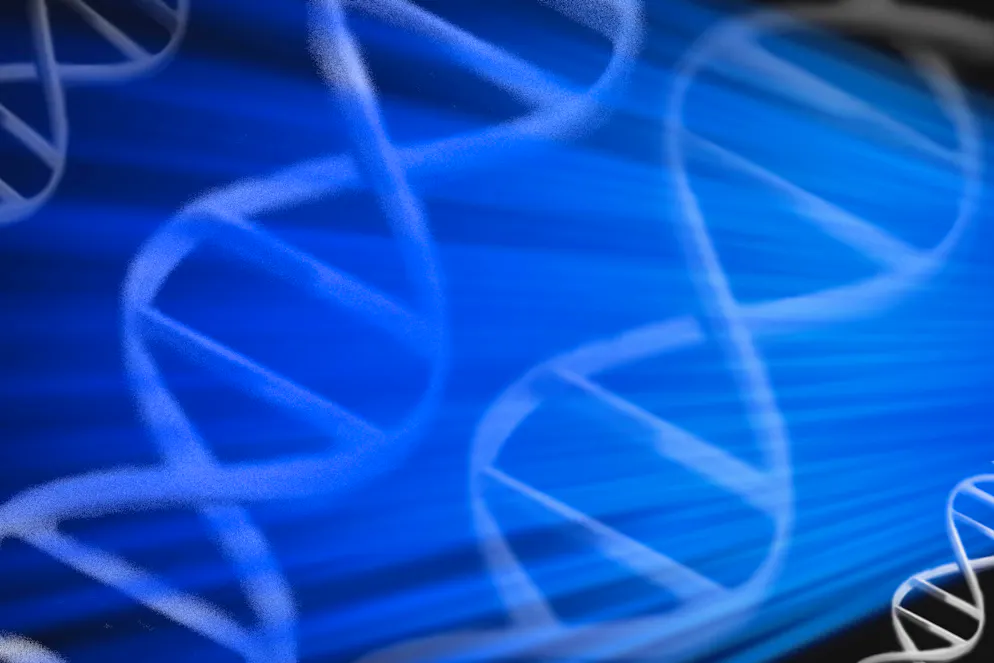 Les jumeaux monozygotes, ou «vrais» jumeaux, partagent le même ADN.