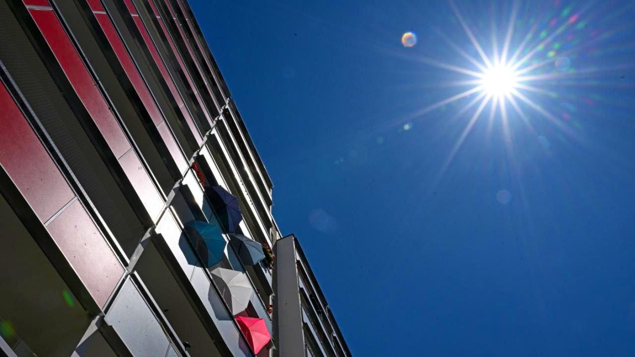 Climate. World's fifth warmest January since measurements began