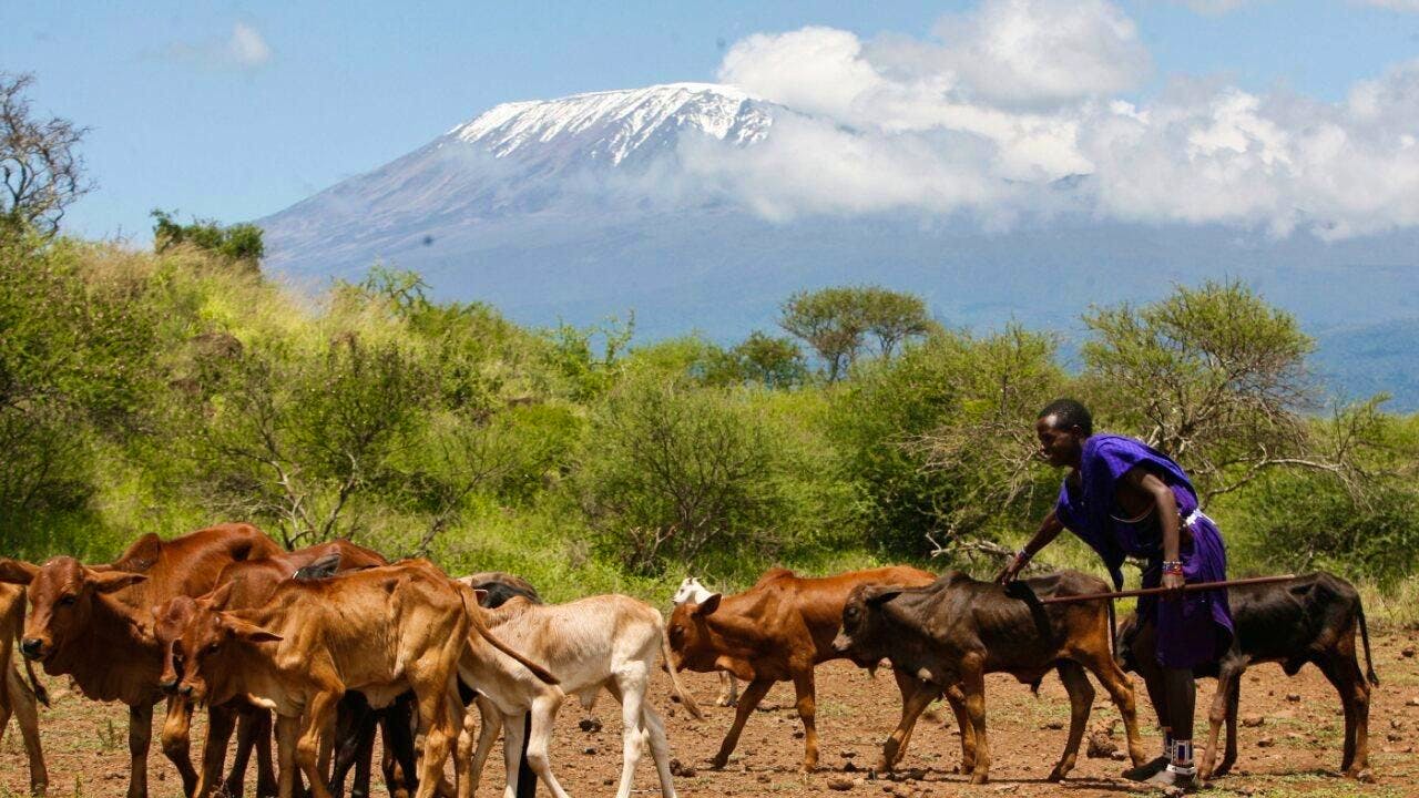 Agriculture/Agriculture. Climate change could halve pasture areas by 2100, according to study