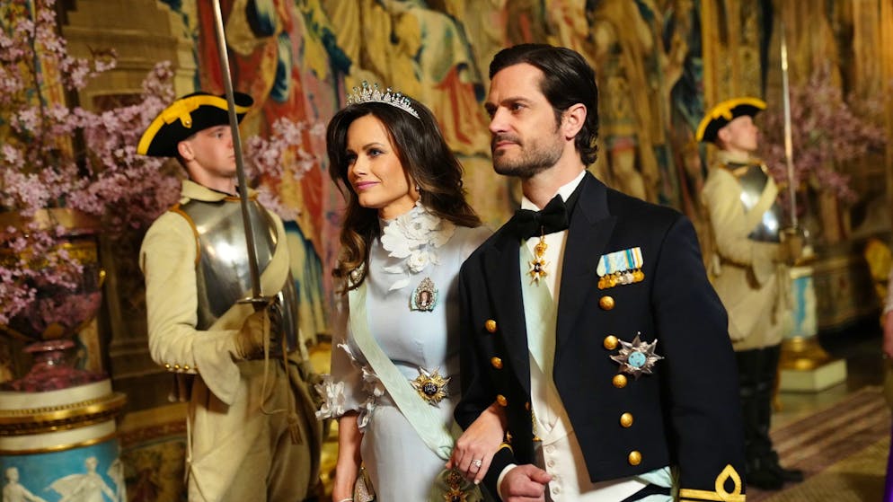 Nuovi dettagli. La principessa svedese Sofia conferma: «Ho incontrato Epstein in un paio di occasioni sociali»