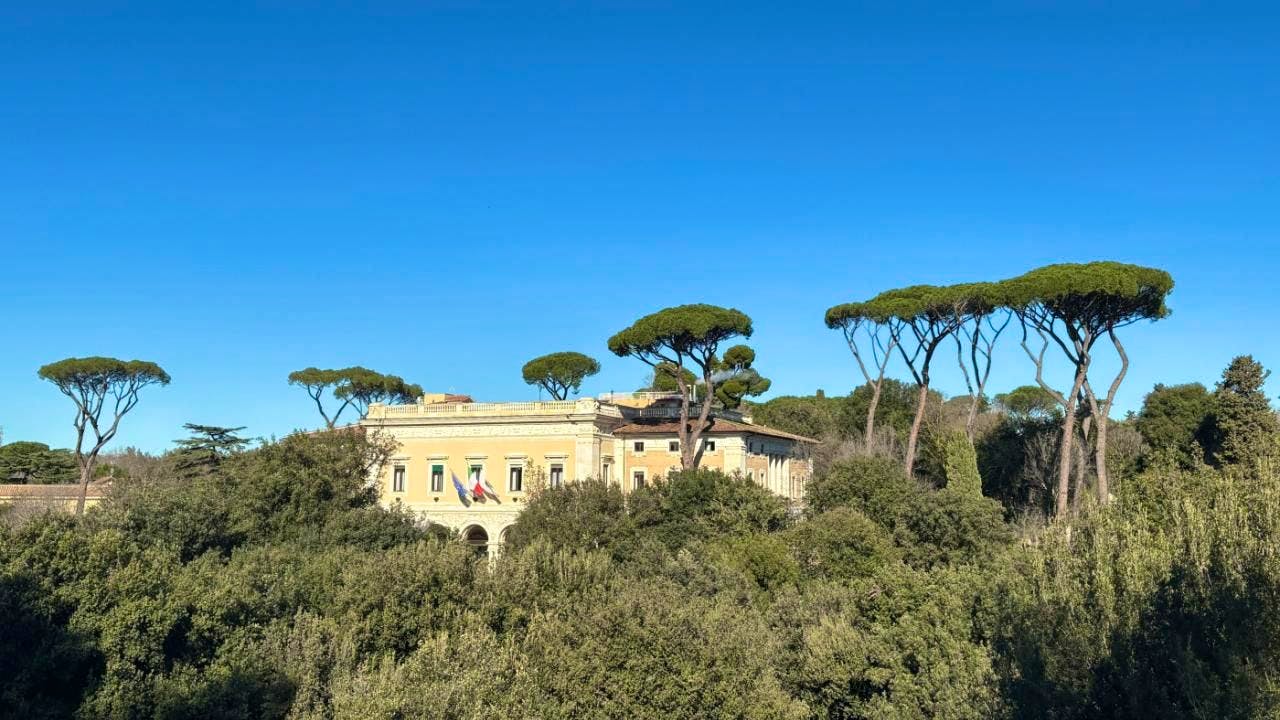 Italien. Roms Pinien in Gefahr: Droht das grosse Baumfällen?