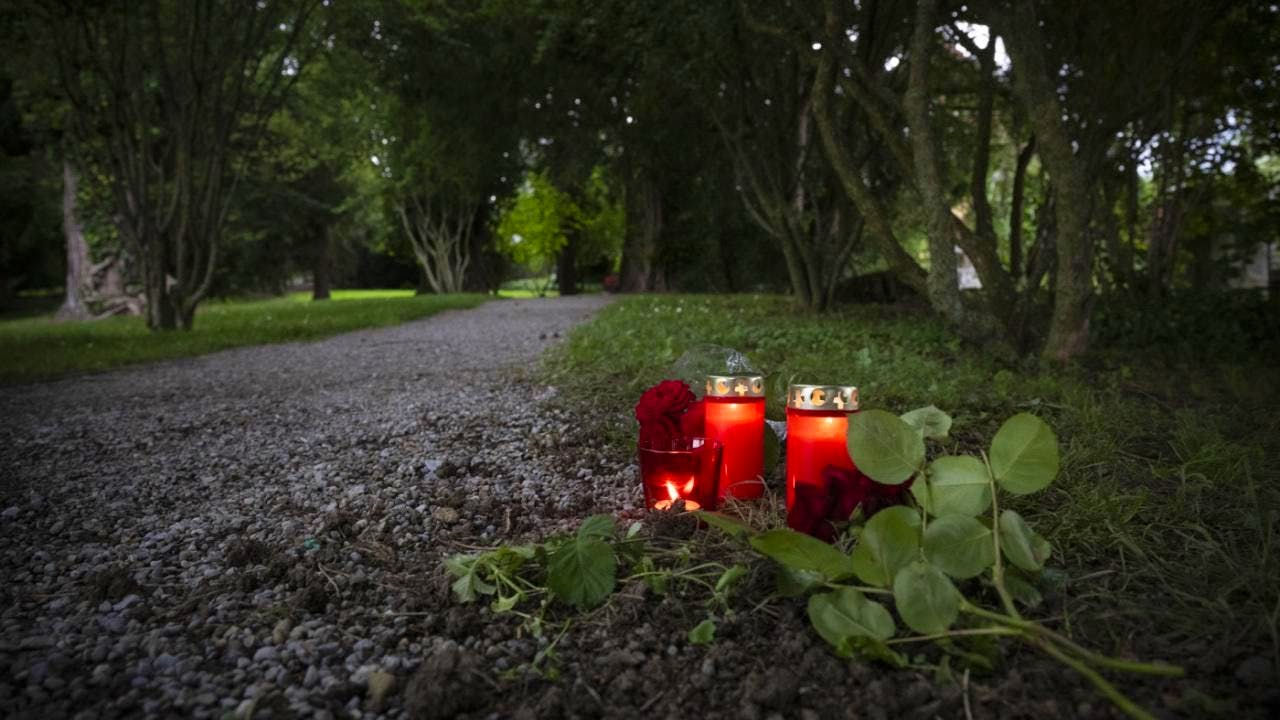 Homicide. Zurich justice system brings Männedorf jogger murderer to court