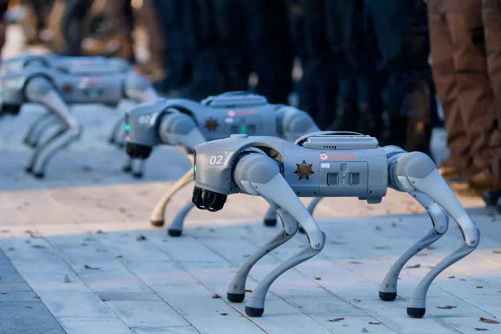 La municipalité a présenté quatre exemplaires de ces «perros robot» lors d'une conférence de presse, pour lesquels elle a déboursé 2,5 millions de pesos (120.000 euros). Ils seront déployés «en cas de grabuge», a précisé M. Garcia. (Archives)