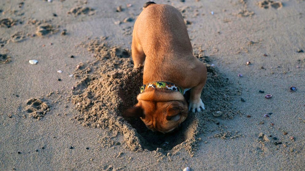CO₂-Einspeisung im Untergrund. Diese Klimaschutz-Strategie testet nun auch die Schweiz