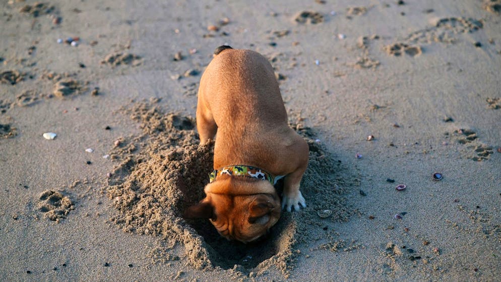 Iniezione di CO₂ nel sottosuolo. Anche la Svizzera sta sperimentando questa strategia di protezione del clima