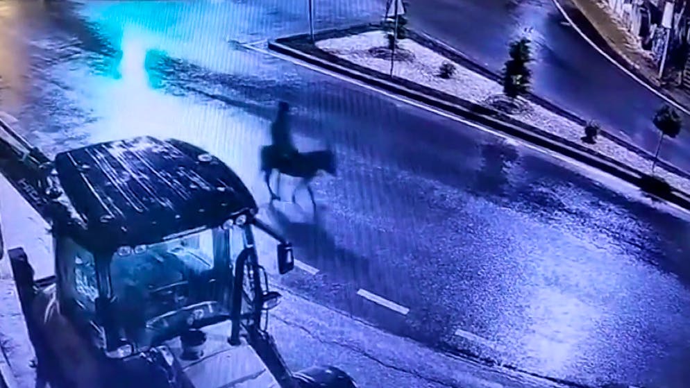 Skurriles Fluchtfahrzeug. Dreister Juwelendieb flieht auf Esel