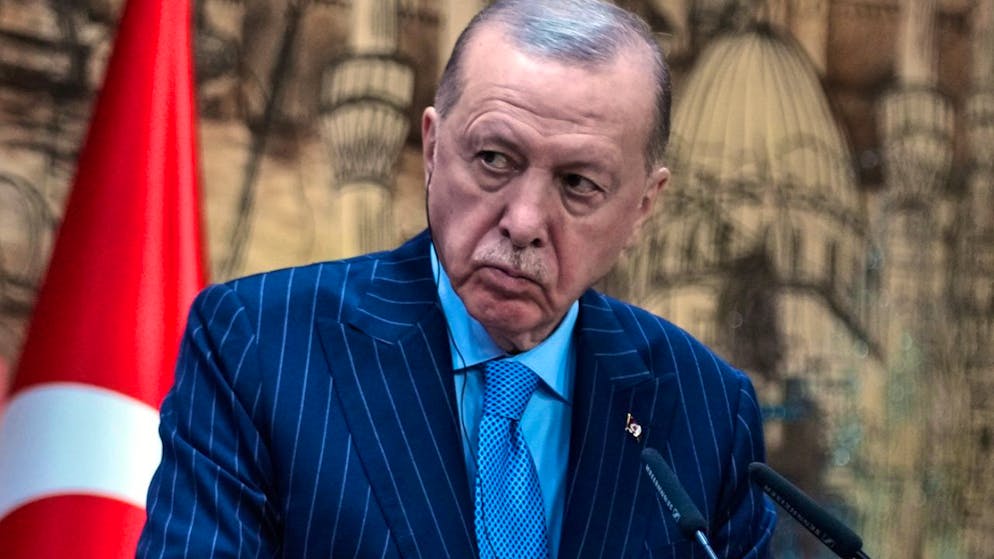 Turchia - Emirati Arabi. Il presidente turco Erdogan in visita ad Addis Abeba