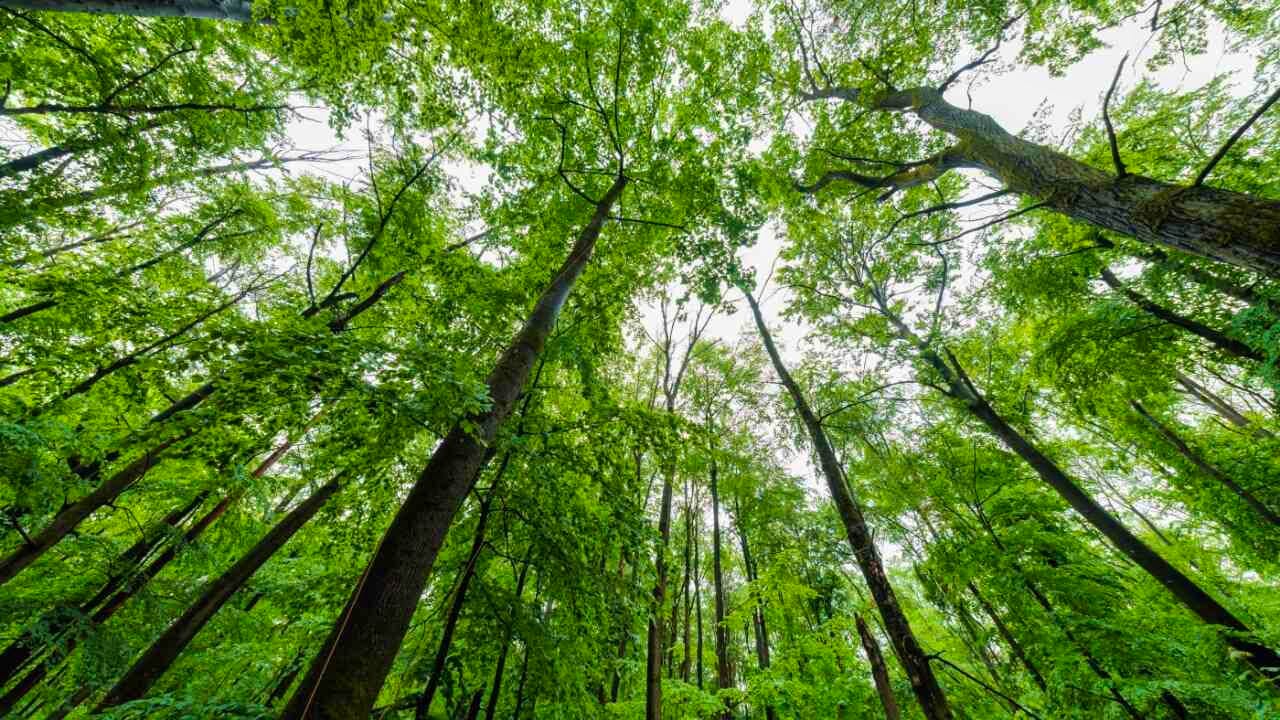 Denmark. Experts: EU must do more for climate adaptation