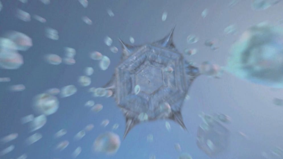 Fascinating events in the cloud. How a snowflake is formed