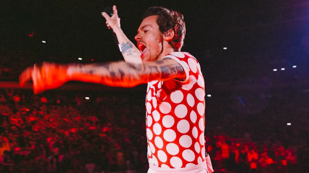 Vom Bäckerjungen zur Pop-Ikone. Wie wird man eigentlich so unglaublich berühmt wie Harry Styles?