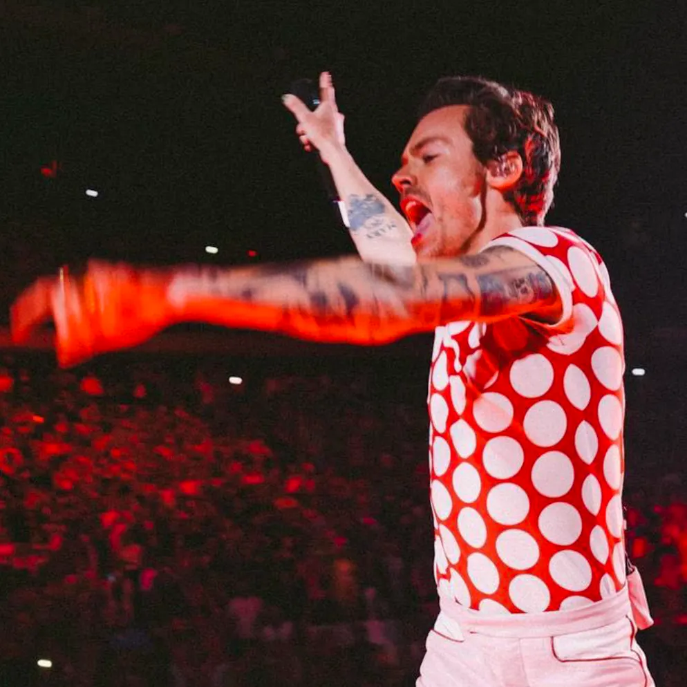 Vom Bäckerjungen zur Pop-Ikone. Wie wird man eigentlich so unglaublich berühmt wie Harry Styles?