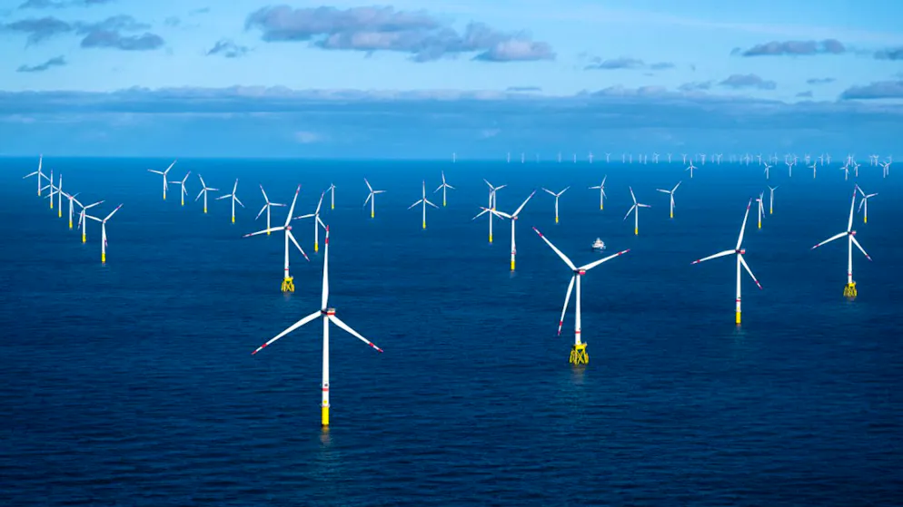 Windpark-Flächen in Nordsee laut Vattenfall-Chefin begrenzt (Symbolbild)