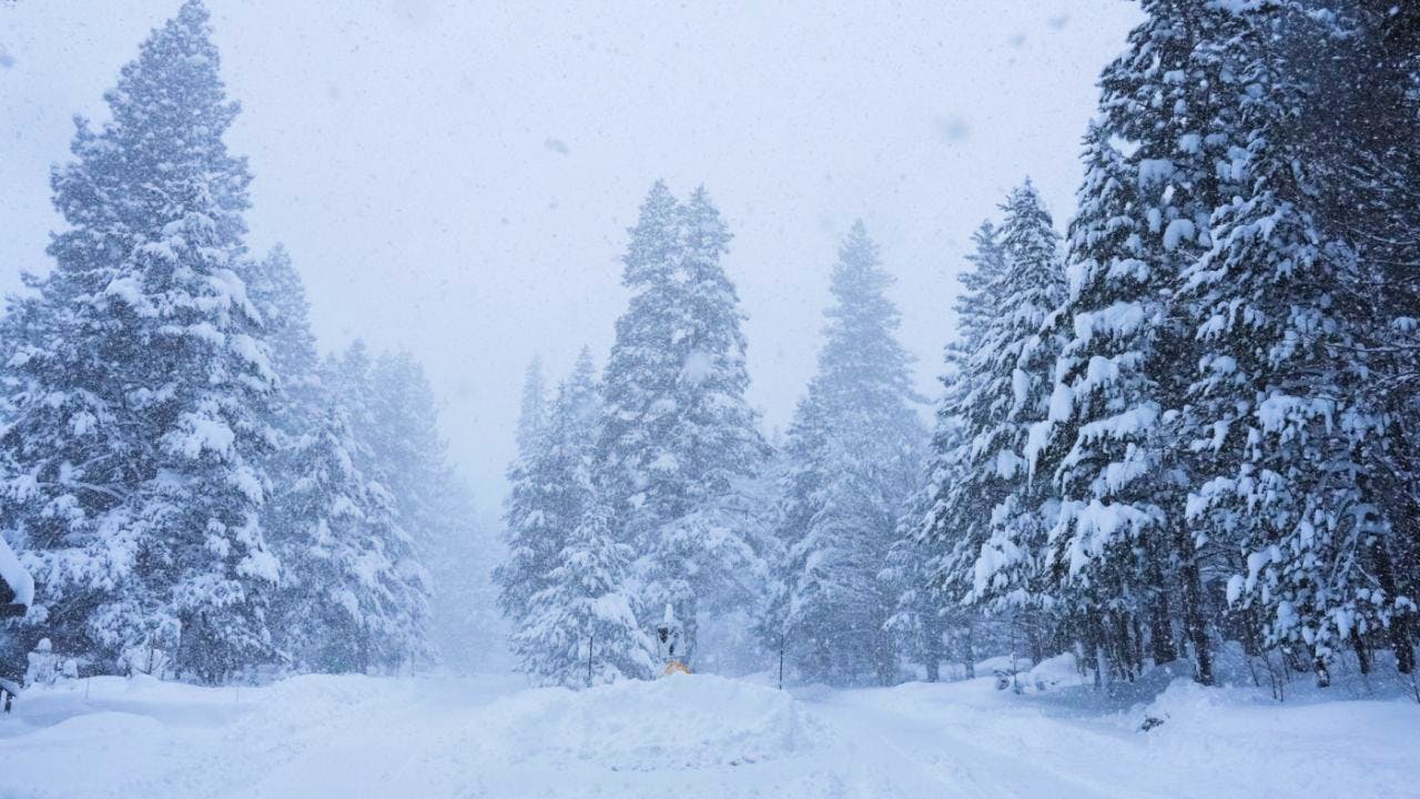 USA. Zehn Skifahrer nach Lawinenabgang in Kalifornien vermisst