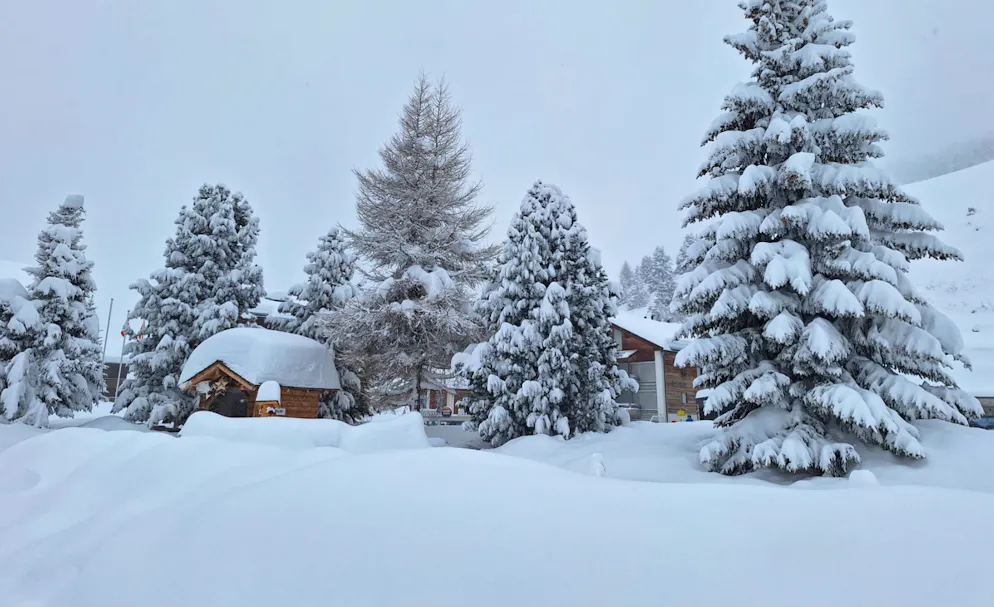 Schnee-Bilder Februar 2026. Eine Leserin schickt gleich mehrere Bilder von der Riederalp VS. 