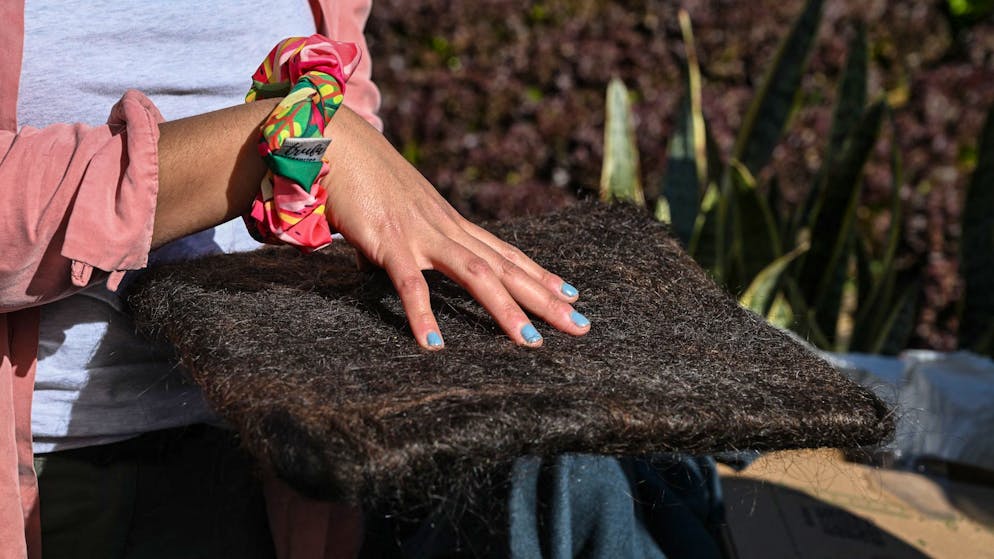 Aus Coiffeur-Abfall wird Umweltschutz. Warum Mexiko aus Menschenhaar Wasserfilter baut
