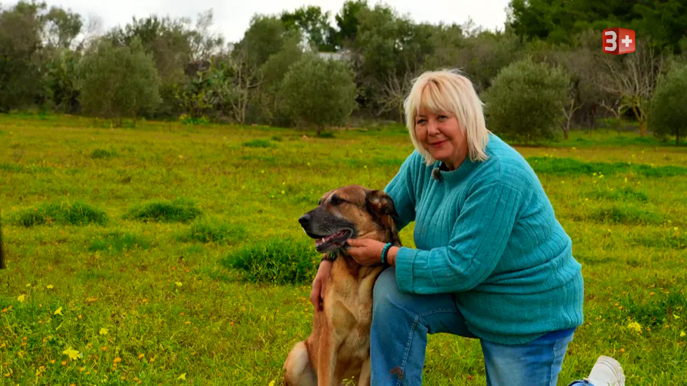 «Bauer, ledig, sucht»: Diese Bauern und Bäuerinnen suchen die Liebe im TV. Im süditalienischen Apulien baut sich Auswanderin Karina (65) ein neues Leben auf. Auf einem Anwesen mit Weinreben, Oliven-, Zitrus- und Feigenbäumen lebt sie ihren Traum und hat viele Visionen für einen Neuanfang. Neun Hunde und zwei Katzen begleiten sie.