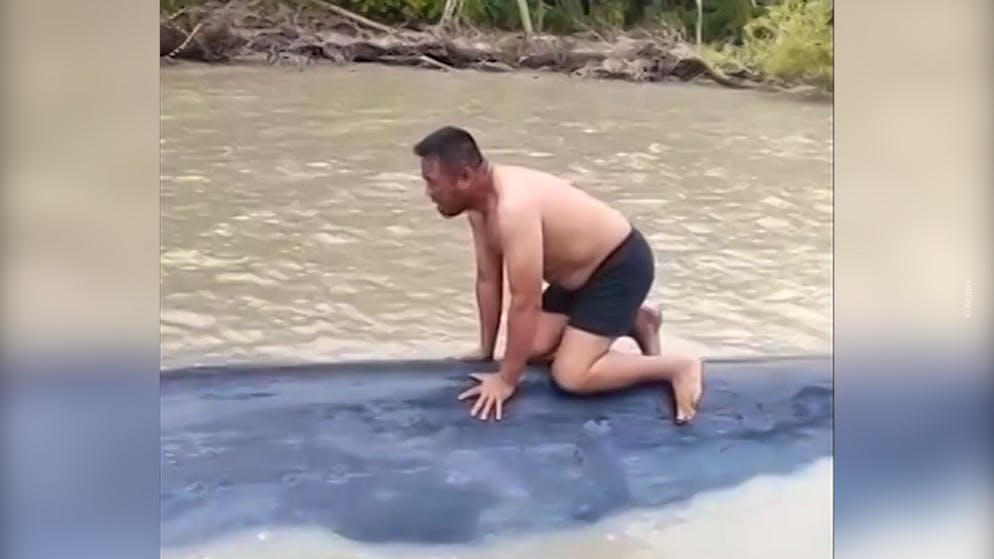 Tier strandet im Fluss. Fischer klettern auf 15-Meter-Wal – und retten ihn
