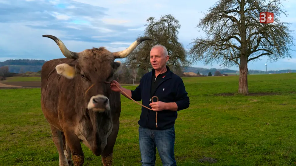 «Bauer, ledig, sucht»: Diese Bauern und Bäuerinnen suchen die Liebe im TV. Der unternehmungslustige Peter hat nach vielen Jahren intensiver Arbeit seinen Hof an seinen Sohn übergeben. Der Hof wird heute als Gnadenhof geführt, den Peter weiterhin mit viel Herz und Engagement begleitet. Der 63-Jährige lebt im Kanton Thurgau.