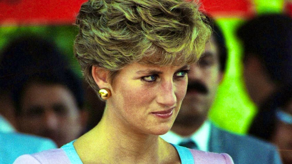 Il biografo rivela. Ecco cosa pensava Diana del cognato Andrea e perché diffidava di lui