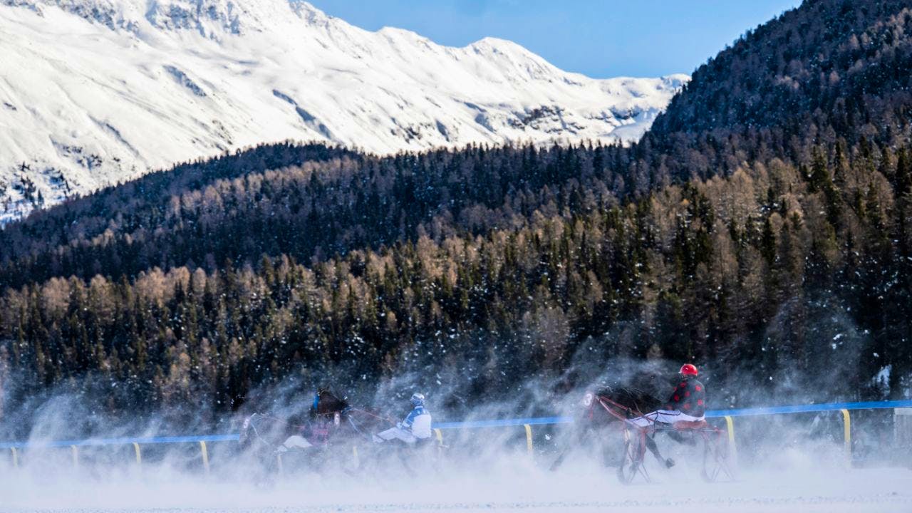 Reiten. Aussenseiter Snow Player dominiert im Grossen Preis von St. Moritz