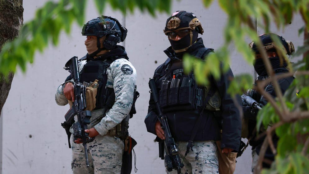 Investigators reveal details. Love nest at the edge of the forest - how 