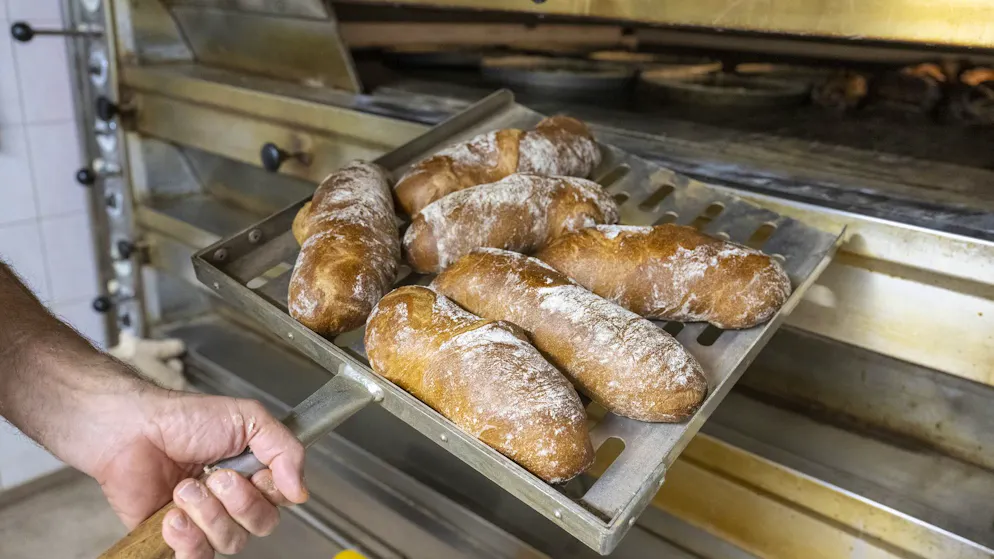 «Gravierende Verstösse» gemeldet. Schweizer Bäcker muss wegen Hygiene-Mängeln ins Gefängnis