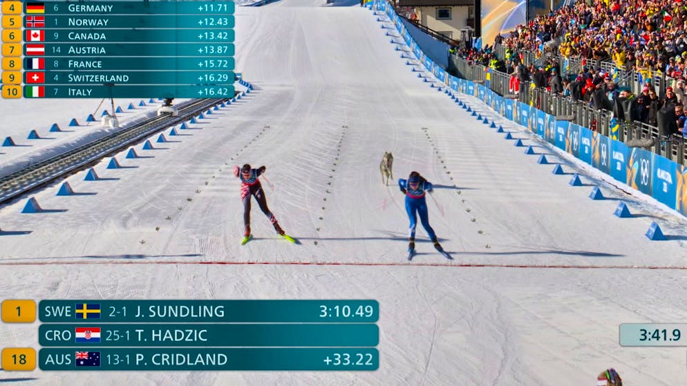 Ein Hund im Kampf um die Langlauf-Medaillen: Nazgul holt sich Bronze 😉