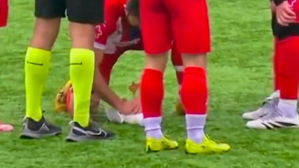 «Das war wichtiger als der Sieg». Möwe wird von Ball getroffen – und von Spieler wiederbelebt