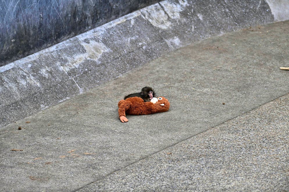 Baby "Punch" with his doll
