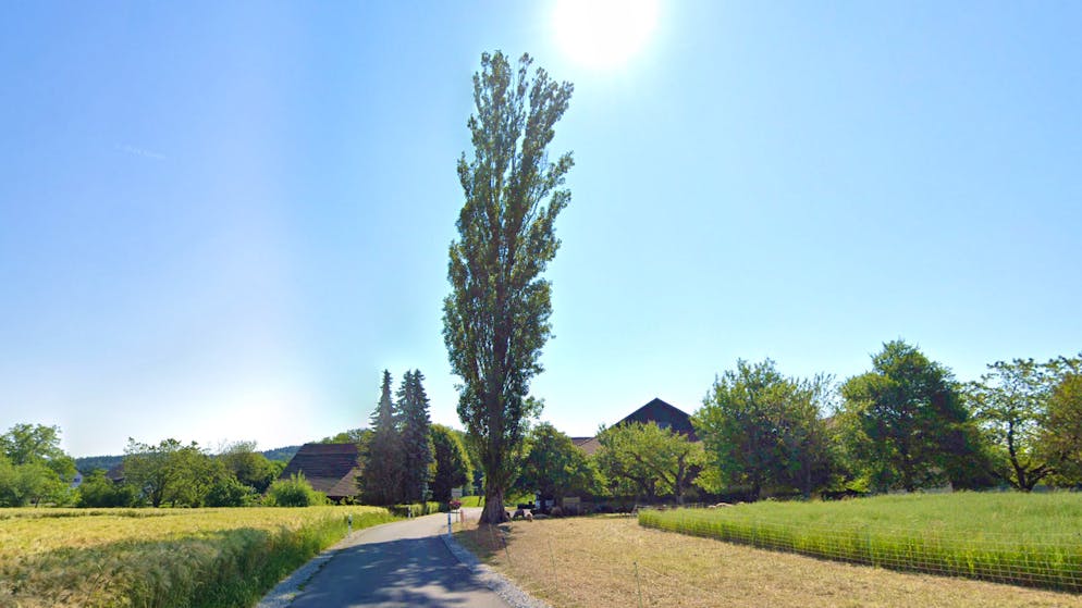 Zoff in Kloten ZH. Nachbarn ärgern sich über Airbnb-Touristen im eigenen Garten