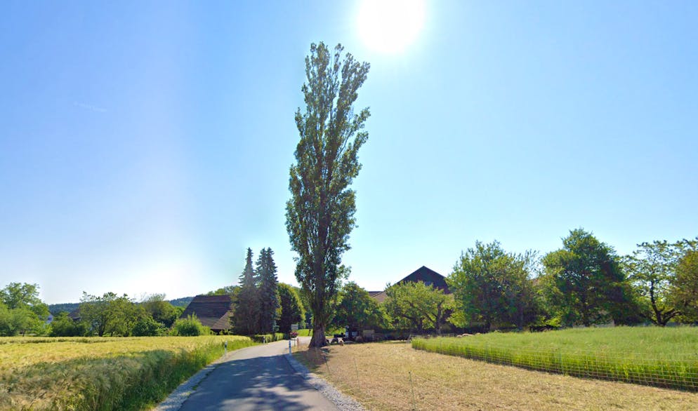 In einem Klotener Weiler stört die Nutzung einer Airbnb-Wohnung den Landfrieden.