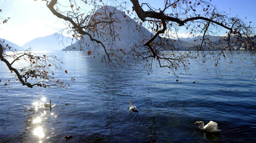 Ungewöhnlich früh. Schweiz hat schon heute die 20-Grad-Marke geknackt
