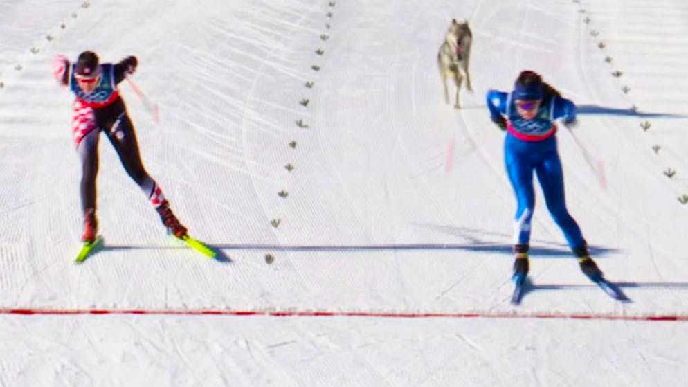 The Olympics were so strange. Dog at the finish line, condom alarm and a cheating confession