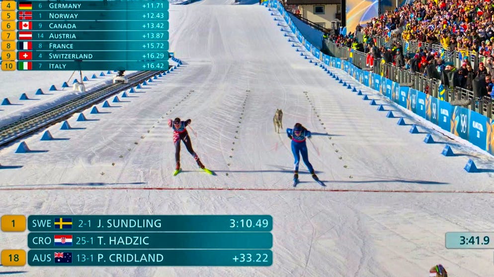 Un cane nella battaglia per le medaglie dello sci di fondo: Nazgul conquista il bronzo 😉