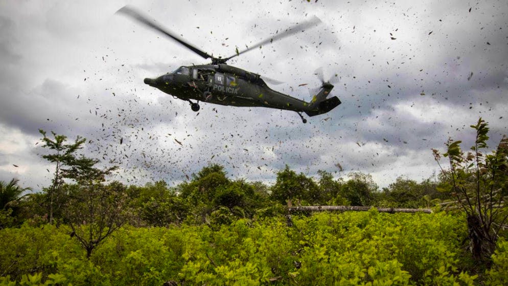 ARCHIVE - A police helicopter lands on a coca plantation during an eradication operation in Tumaco, southwest Colombia. Photo: Ivan Valencia/AP/dpa