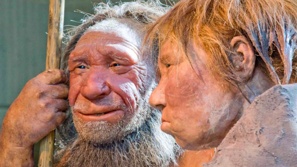 Deux reconstitions d'un couple de Néandertal, au musée de Berlin (Archives).