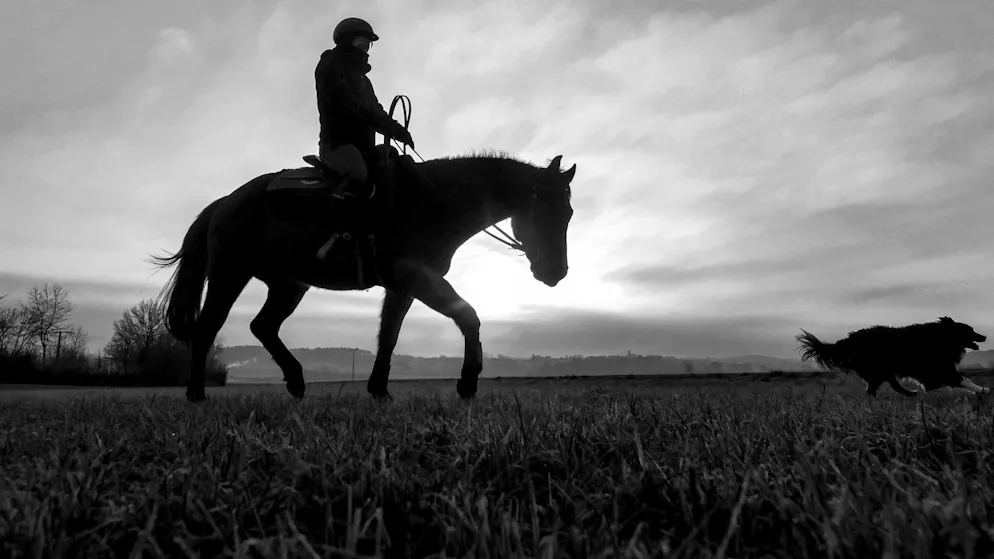 Une cavalière de 22 ans a perdu la vie mercredi près d'Ollon (image d’illustration).