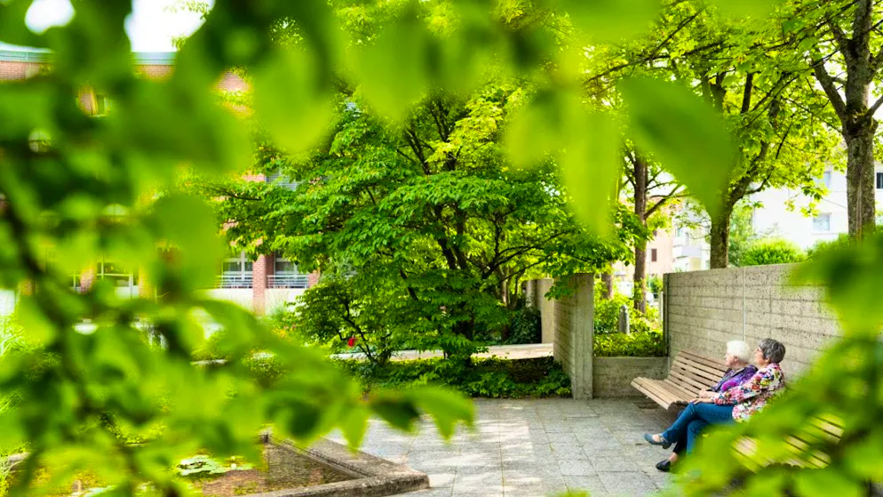 Trees, chirping birds and splashing water contribute to the relaxing effect in a park. (symbolic image)