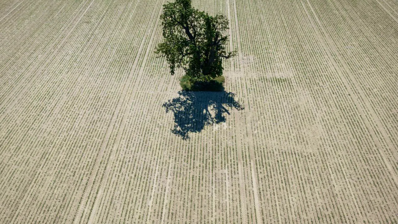 Europa. 90 Prozent weniger Emissionen: EU hat neues Klimaschutzziel