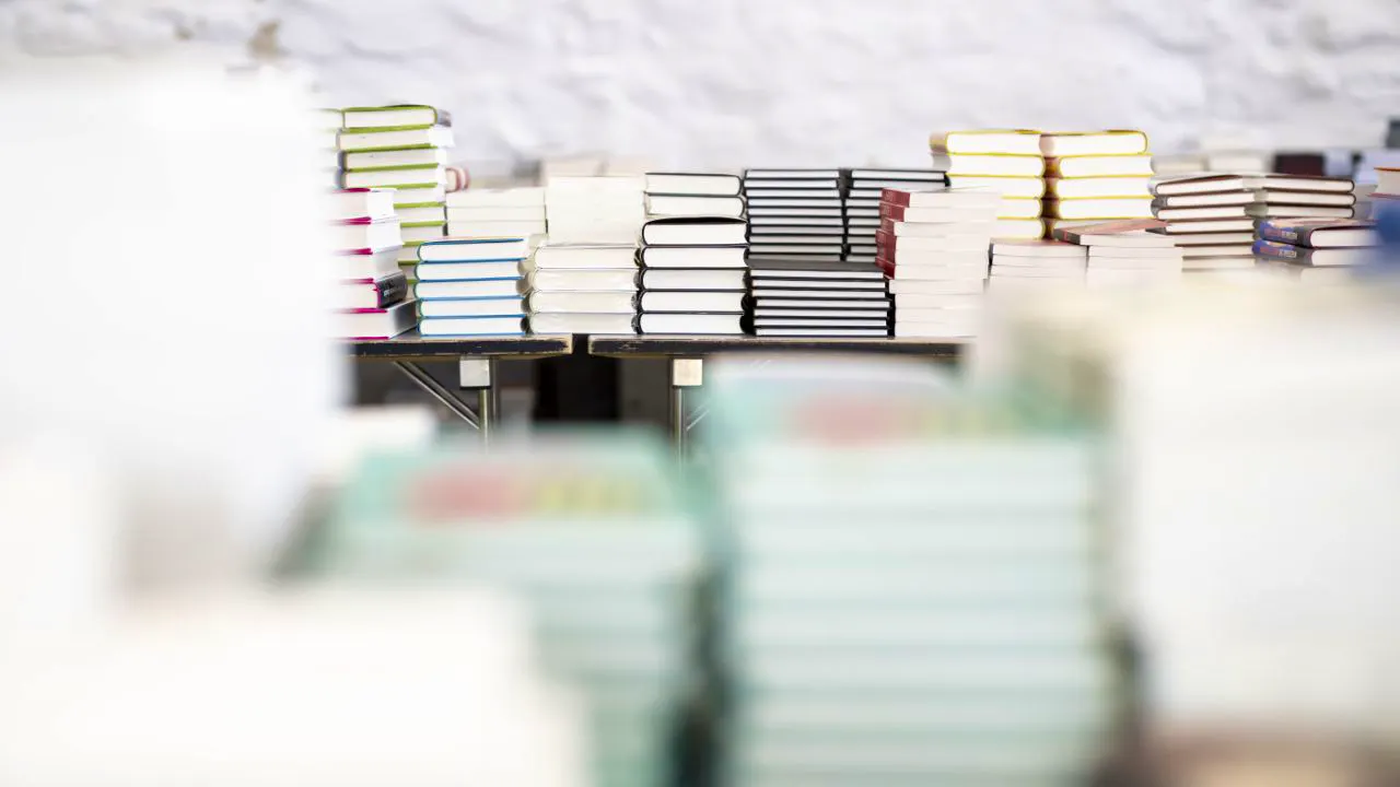 Buchhandel. Deutschschweizer Buchmarkt zeigt 2025 ein moderates Wachstum