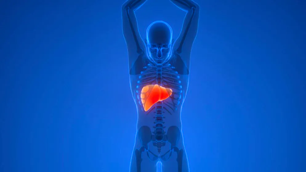 Nuovo studio. Quando il cancro «dirotta» il sistema immunitario: alcune cellule aiutano il tumore