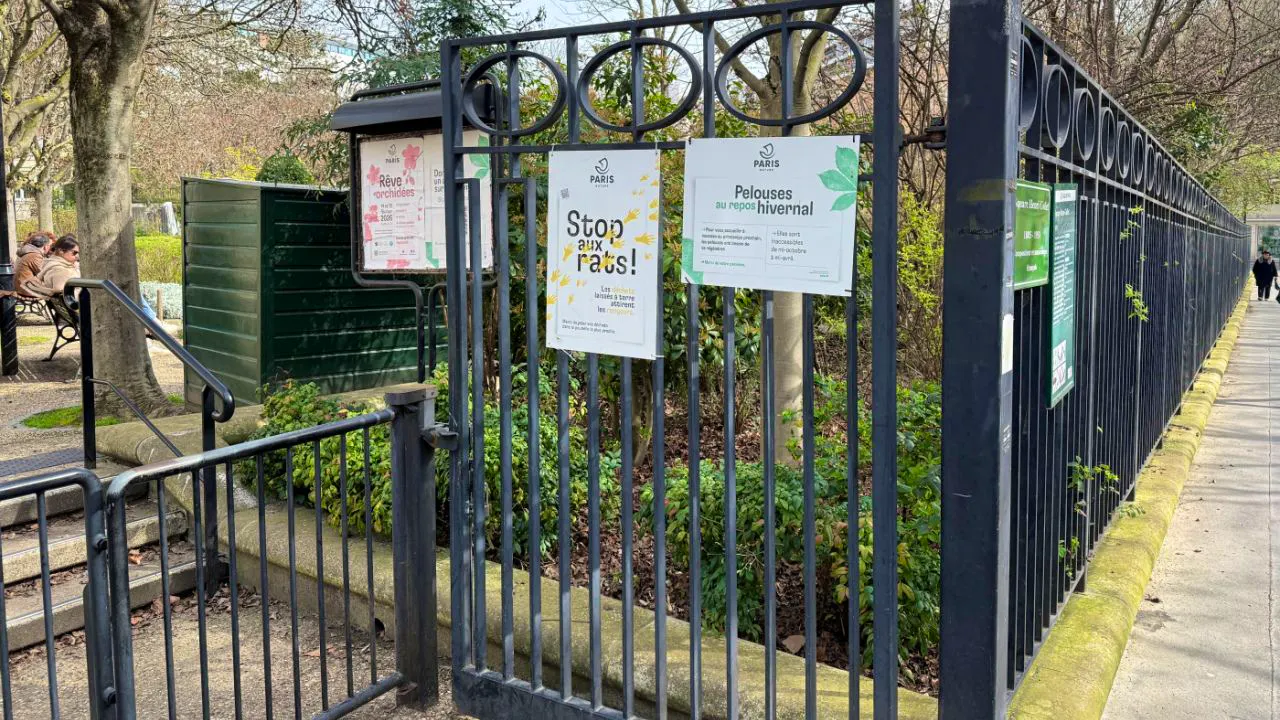 Frankreich. Wahlkampf in Paris – Millionen Ratten sorgen für Streit