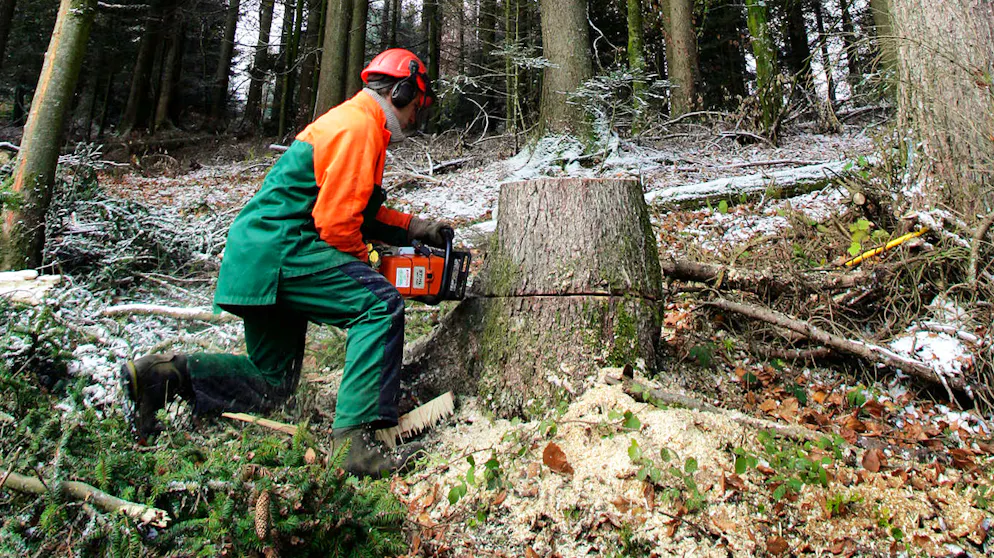 Le jeune bûcheron  encourt 20 ans de réclusion criminelle (image d’illustration).