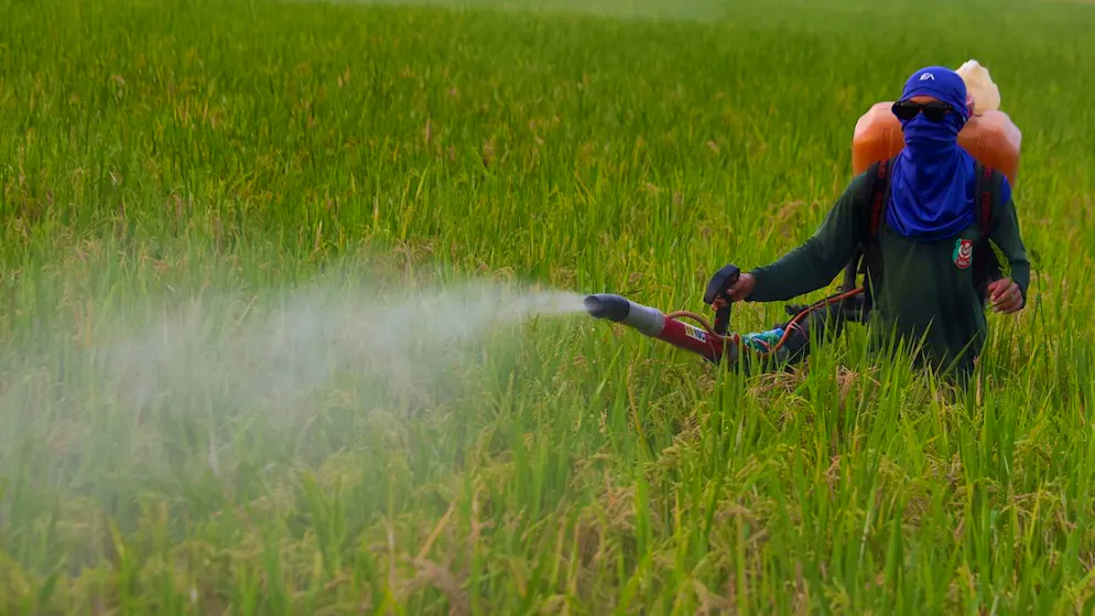 Svizzera. Non solo petrolio e gas: con la guerra balzo anche dei prezzi dei fertilizzanti