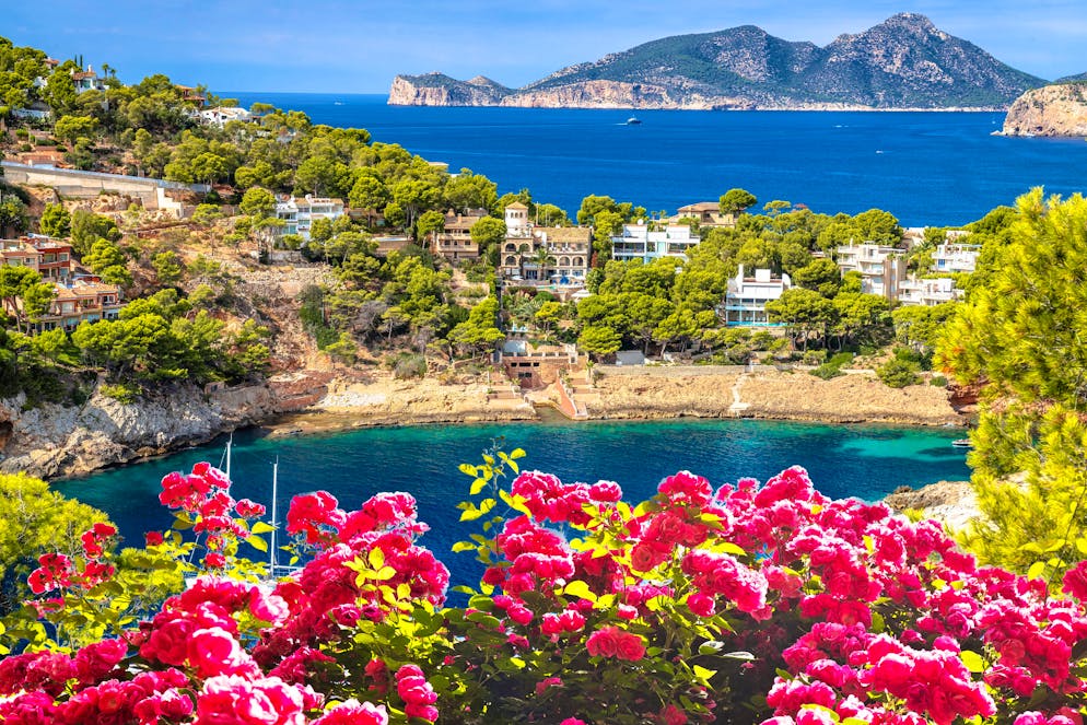 bluewin.ch - Swiss luxury travelers now avoid Dubai - and travel to Mallorca instead