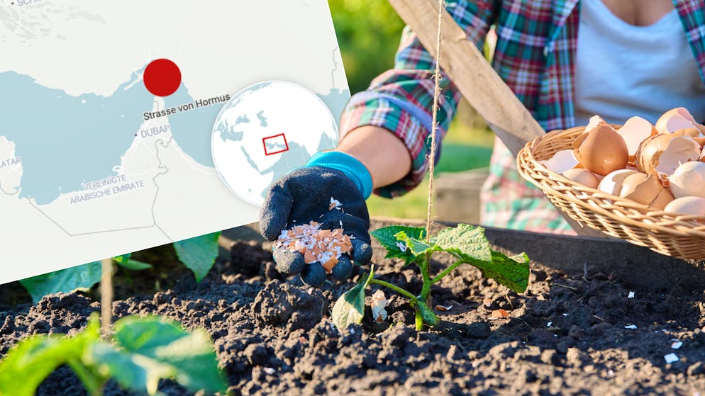 Wegen Iran-Krieg. Expertin warnt vor einer drohenden Krise, die auch uns schwer treffen wird