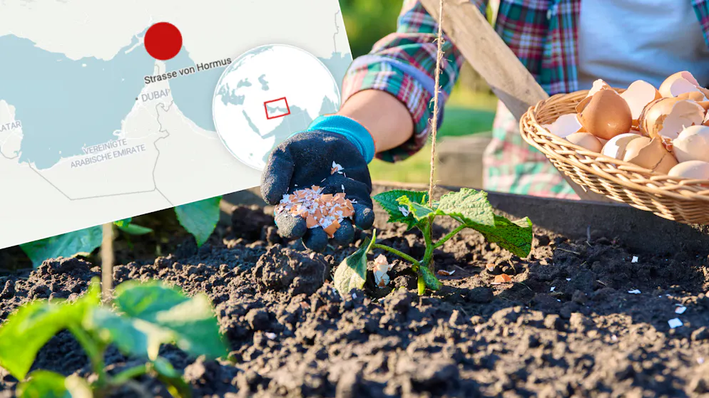 Wegen Iran-Krieg. Expertin warnt vor einer drohenden Krise, die auch uns schwer treffen wird