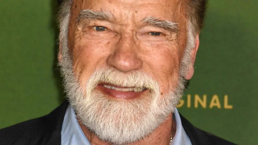 Nuovi capitoli. Arnold Schwarzenegger torna nei panni di Conan, in sviluppo «Conan il barbaro»