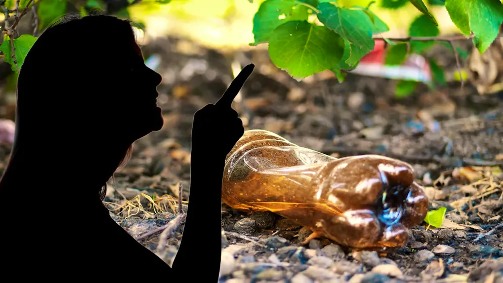 La donna ha insultato i vicini e ha gettato rifiuti nel loro giardino. 